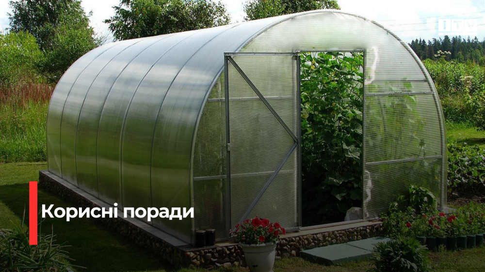 Готуємося до нового сезону: практичні поради для ефективної підготовки теплиці до весни