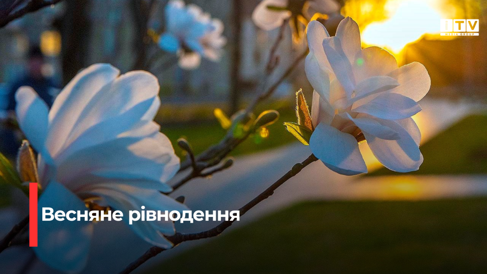 Астрономічна весна: розуміємо весняне рівнодення та його вплив на наше життя
