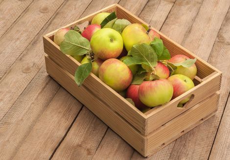 Дихай легко: 4 суперпродукти для здорових легенів
