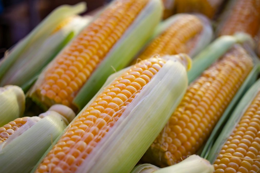 Солодка консервація: секрет правильного заморожування кукурудзи на зиму, який збереже її ніжність і смак